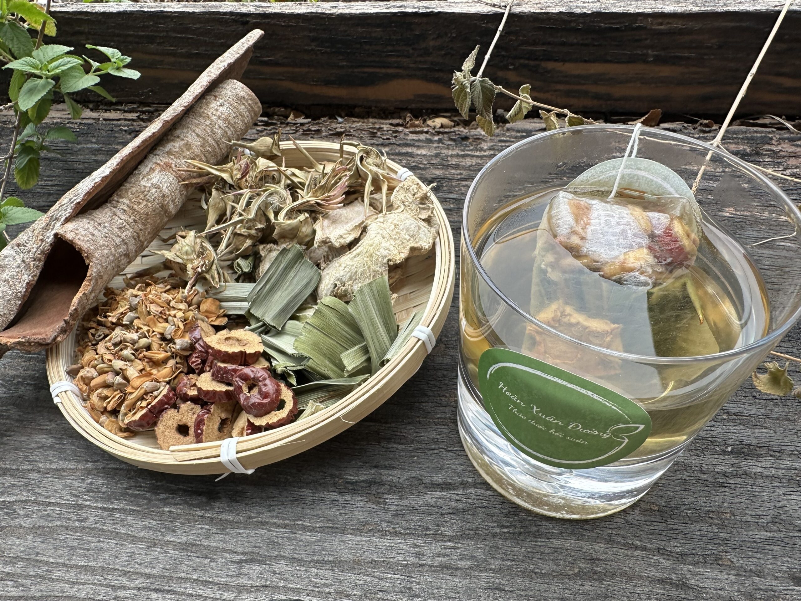 TRÀ THẢO MỘC HOÀN XUÂN