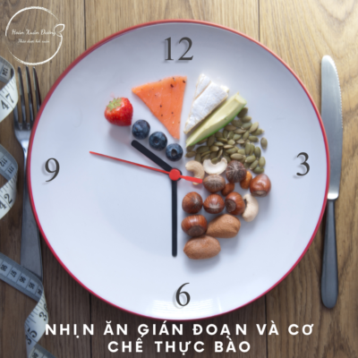 NHỊN ĂN GIÁN ĐOẠN VÀ CƠ CHẾ THỰC BÀO